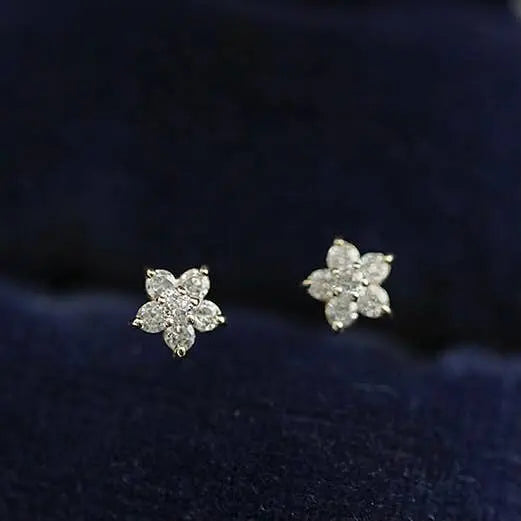 14K Gold Star Zircon Earring SOCALI